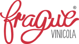 Vínicola Frague top
