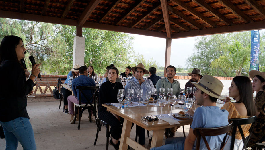 Vinicola Frague catas